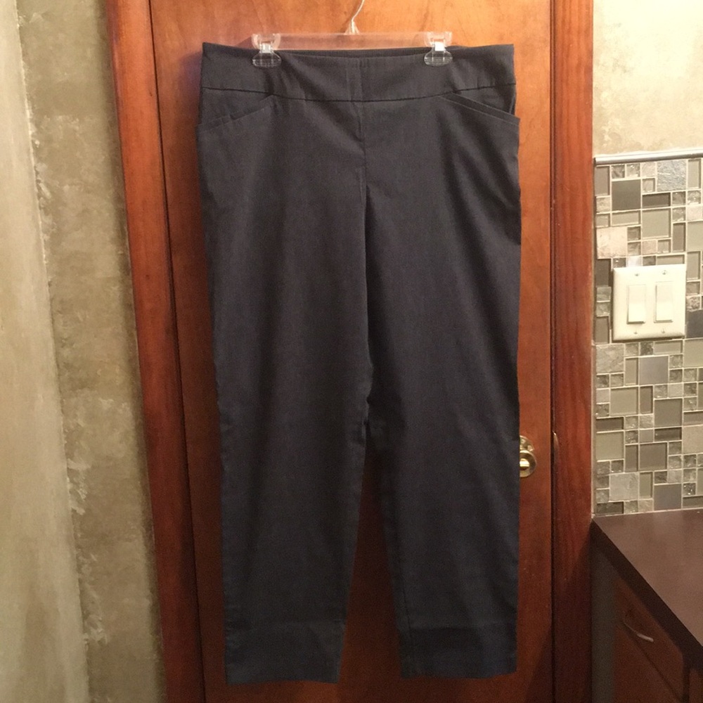 Terra Sky dress pants